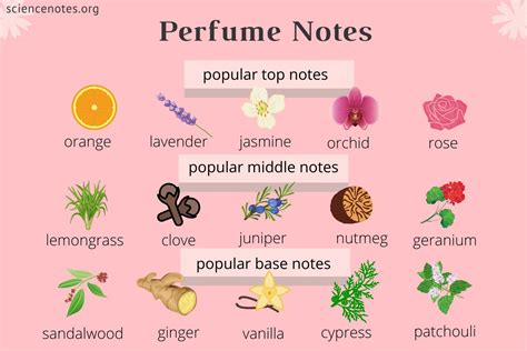 list of top note fragrances.